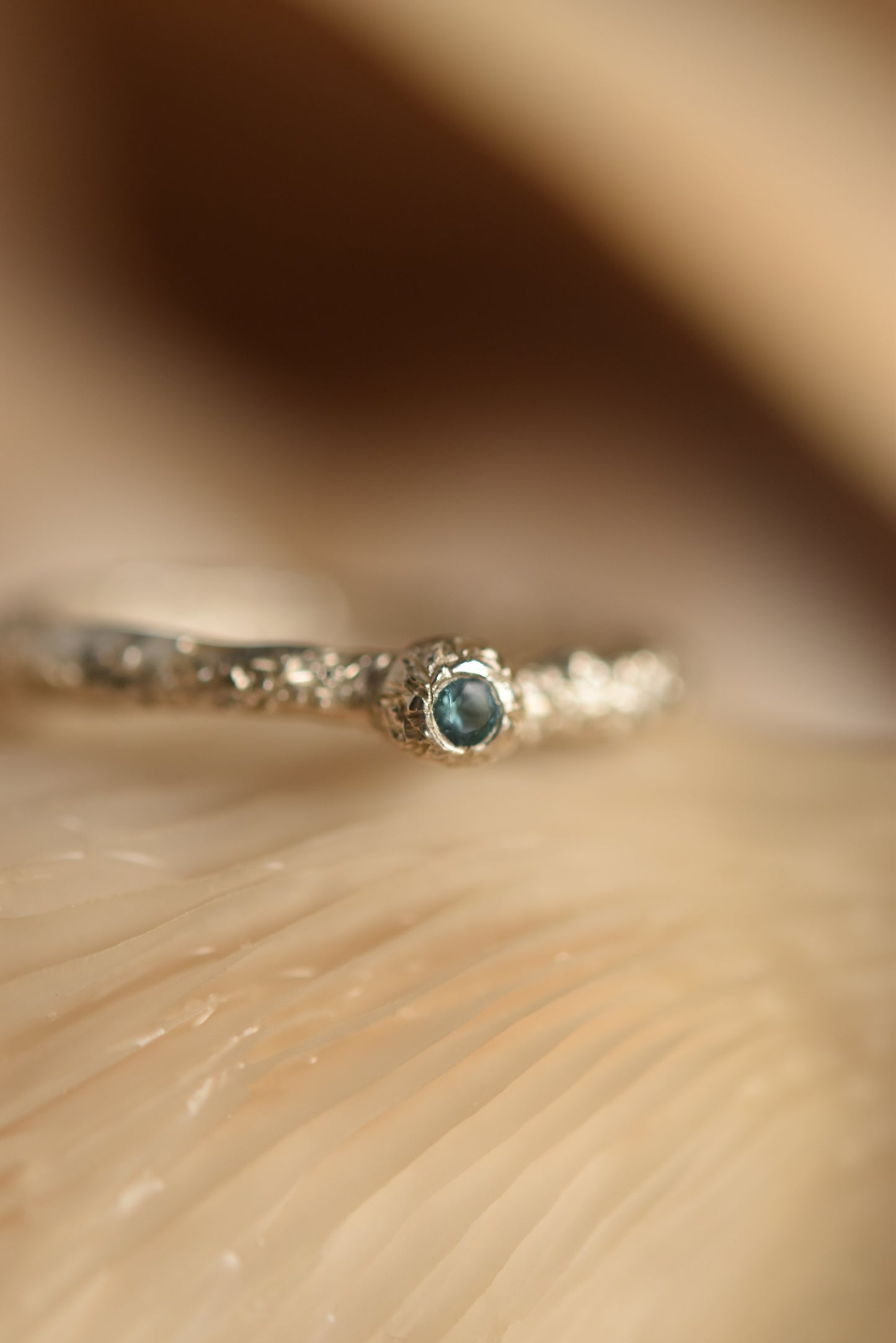 Bec Ring