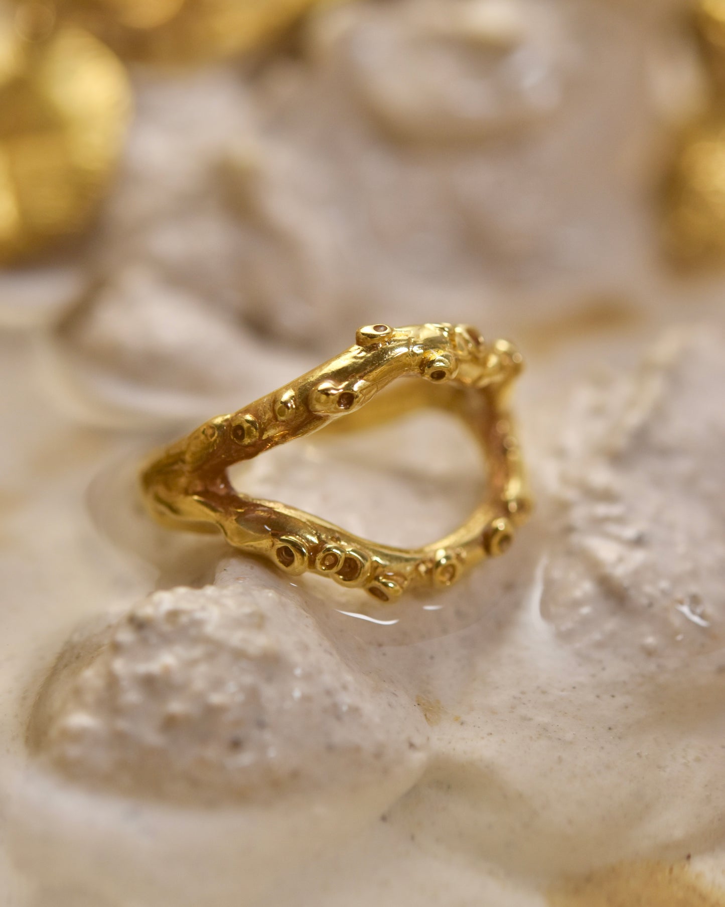 Arrecife Ring