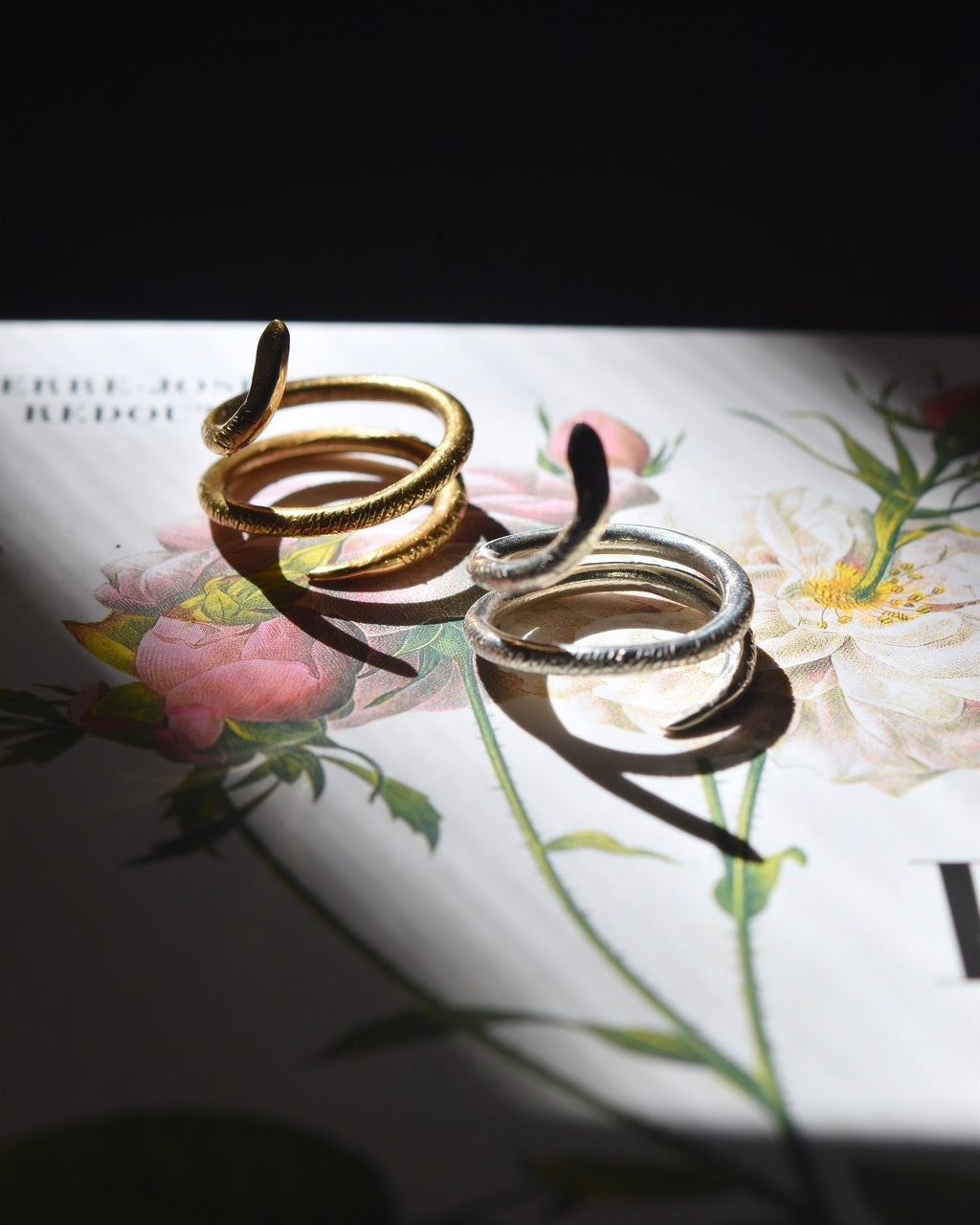 Bicha ring