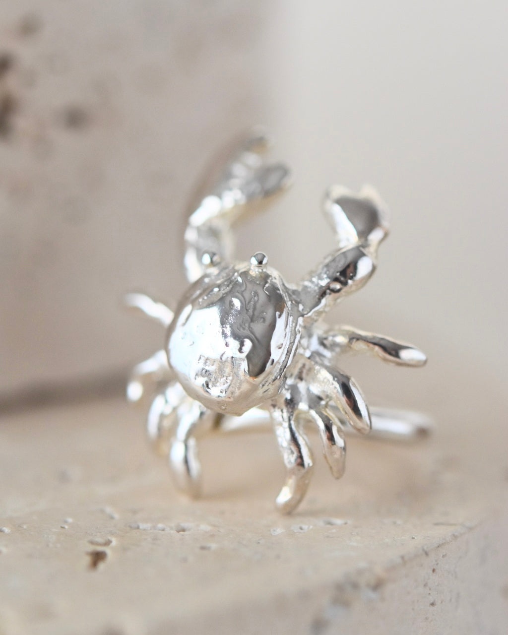 Sebastian ring