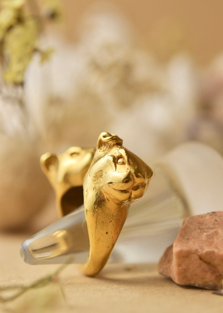 Gemini Ring