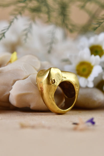 Big Dante Ring