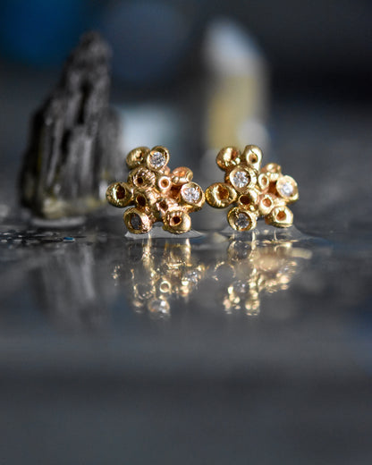 Tiny Coral Earrings