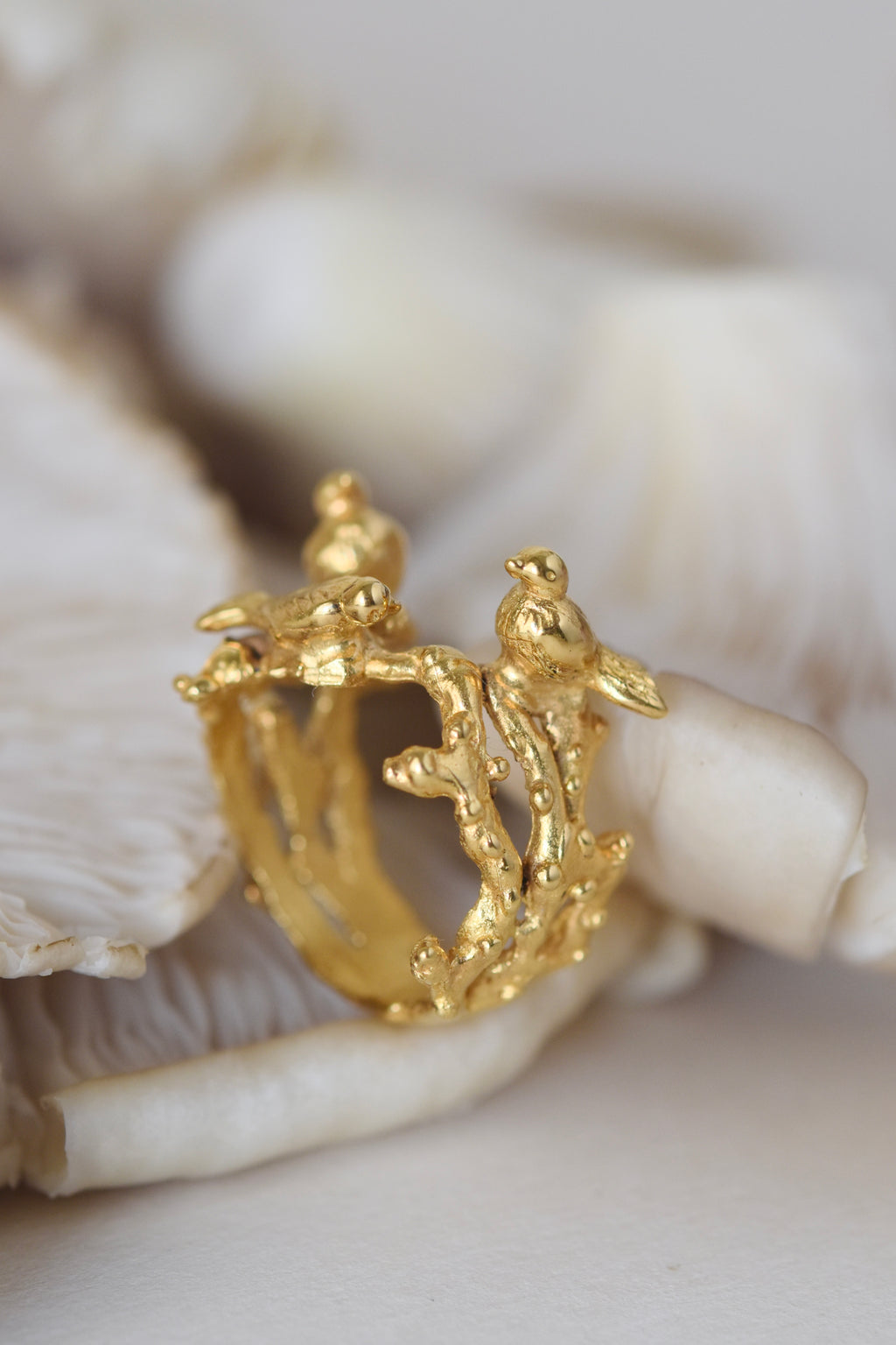 Nest Ring