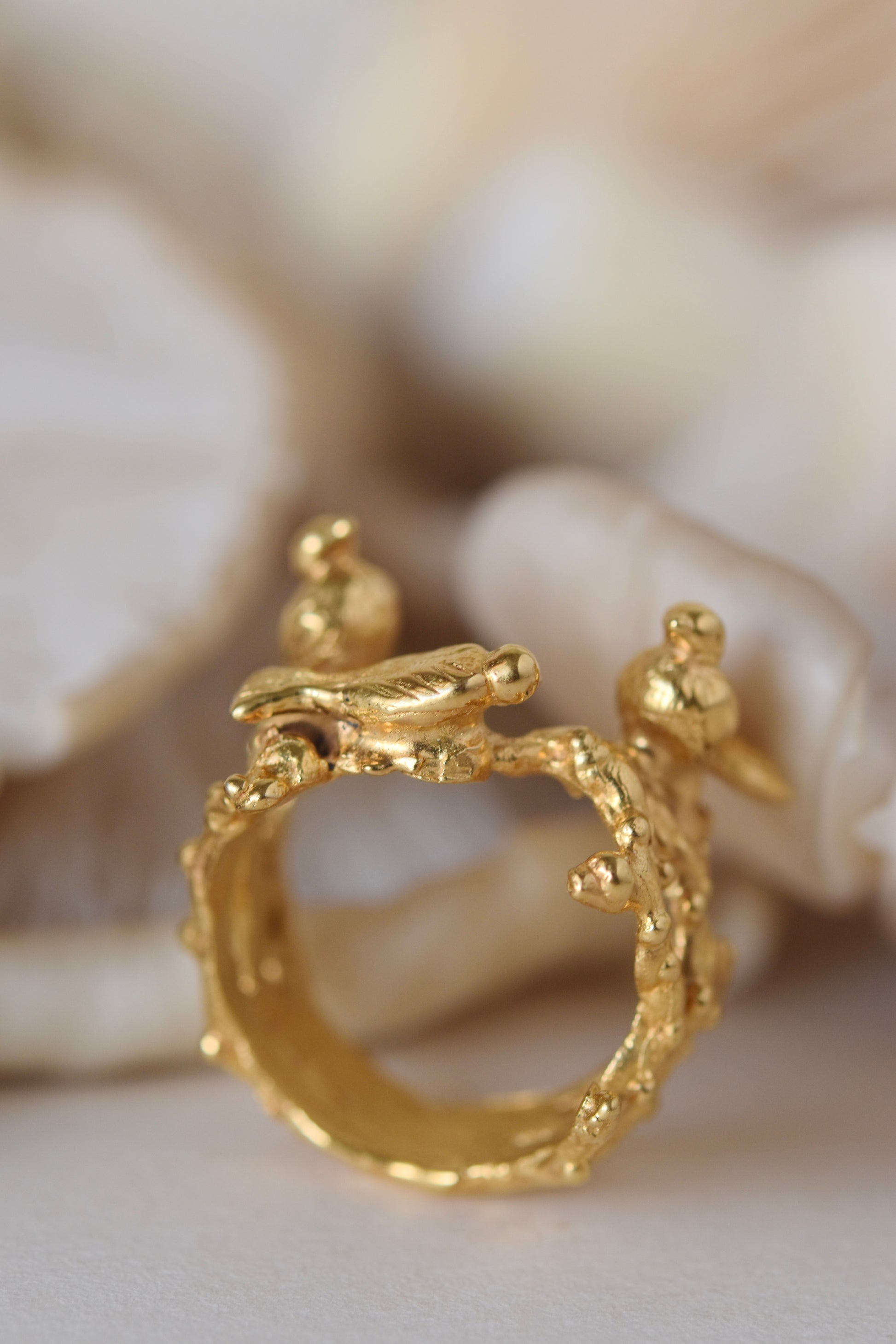 Nest Ring