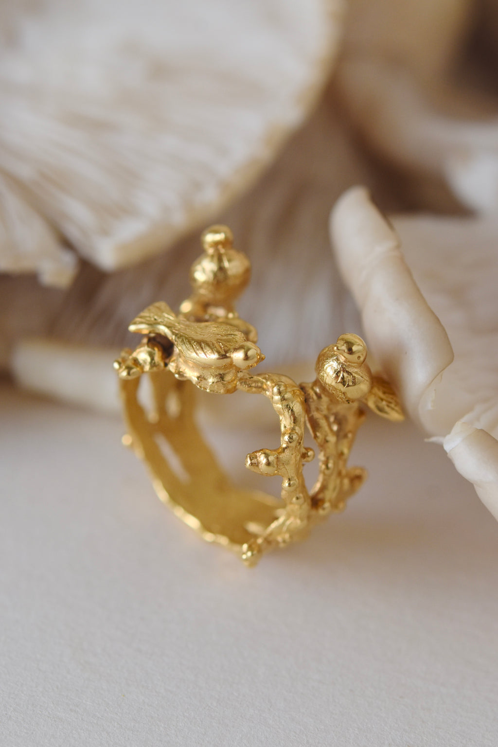Nest Ring