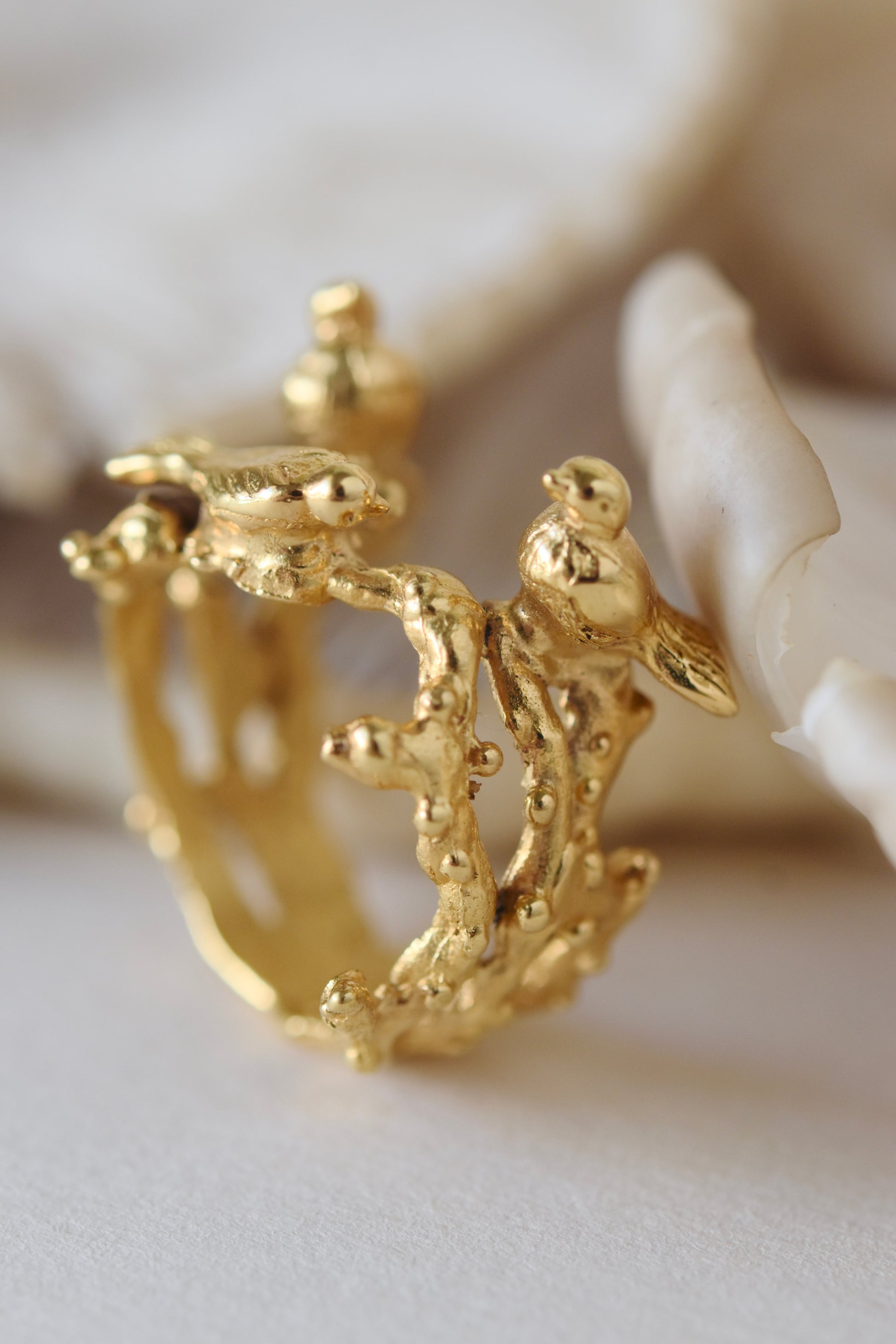 Nest Ring