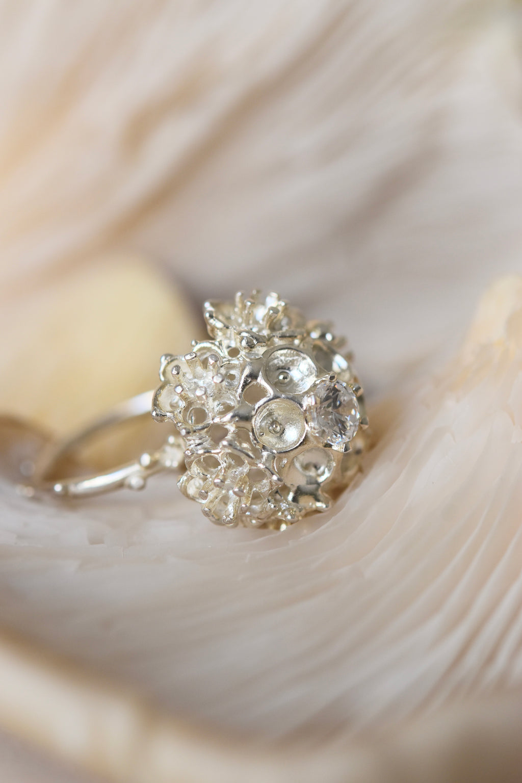 Erizo Ring