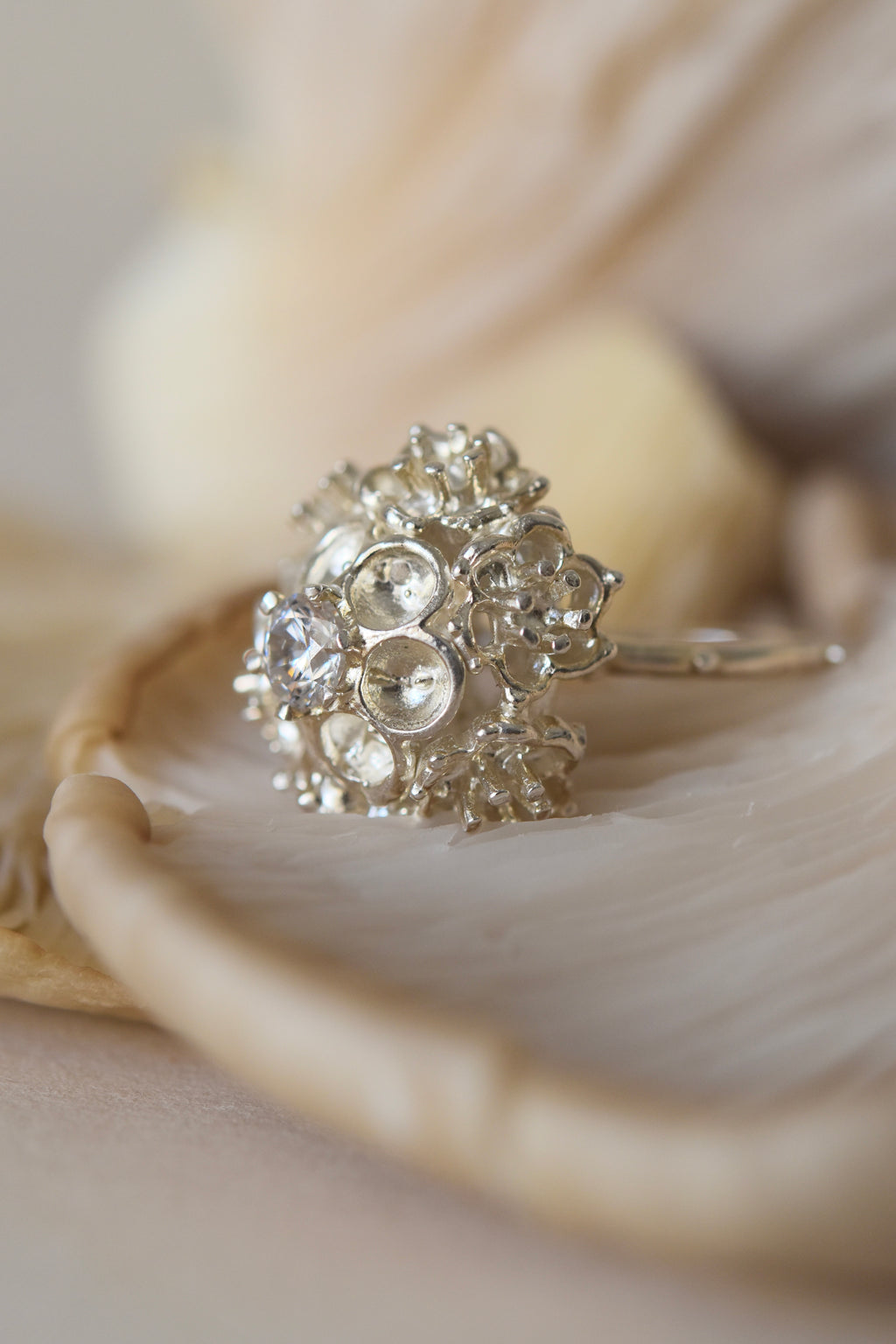 Erizo Ring