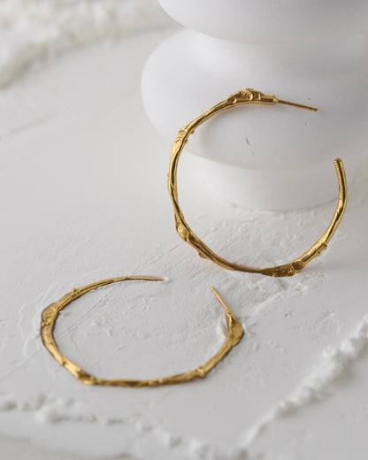 Liana Hoops