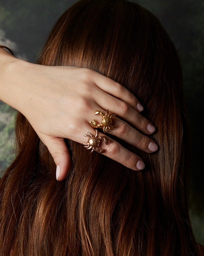 Sebastian ring